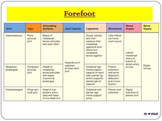 Dr M Eladl
Forefoot
 