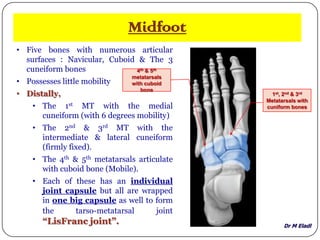 Dr M Eladl
Midfoot
• Five bones with numerous articular
surfaces : Navicular, Cuboid & The 3
cuneiform bones
• Possesses little mobility
• Distally,
• The 1st MT with the medial
cuneiform (with 6 degrees mobility)
• The 2nd & 3rd MT with the
intermediate & lateral cuneiform
(firmly fixed).
• The 4th & 5th metatarsals articulate
with cuboid bone (Mobile).
• Each of these has an individual
joint capsule but all are wrapped
in one big capsule as well to form
the tarso-metatarsal joint
“LisFranc joint”.
1st, 2nd & 3rd
Metatarsals with
cuniform bones
4th & 5th
metatarsals
with cuboid
bone
 