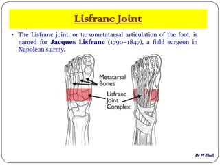 Dr M Eladl
Lisfranc Joint
• The Lisfranc joint, or tarsometatarsal articulation of the foot, is
named for Jacques Lisfranc (1790–1847), a field surgeon in
Napoleon's army.
 