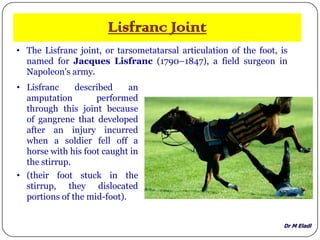 Dr M Eladl
Lisfranc Joint
• The Lisfranc joint, or tarsometatarsal articulation of the foot, is
named for Jacques Lisfranc (1790–1847), a field surgeon in
Napoleon's army.
• Lisfranc described an
amputation performed
through this joint because
of gangrene that developed
after an injury incurred
when a soldier fell off a
horse with his foot caught in
the stirrup.
• (their foot stuck in the
stirrup, they dislocated
portions of the mid-foot).
 