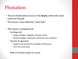 Anatomy of speech production | PPTX