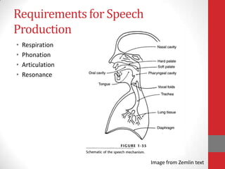 Requirements for Speech
Production
• Respiration
• Phonation
• Articulation
• Resonance
Image from Zemlin text
 