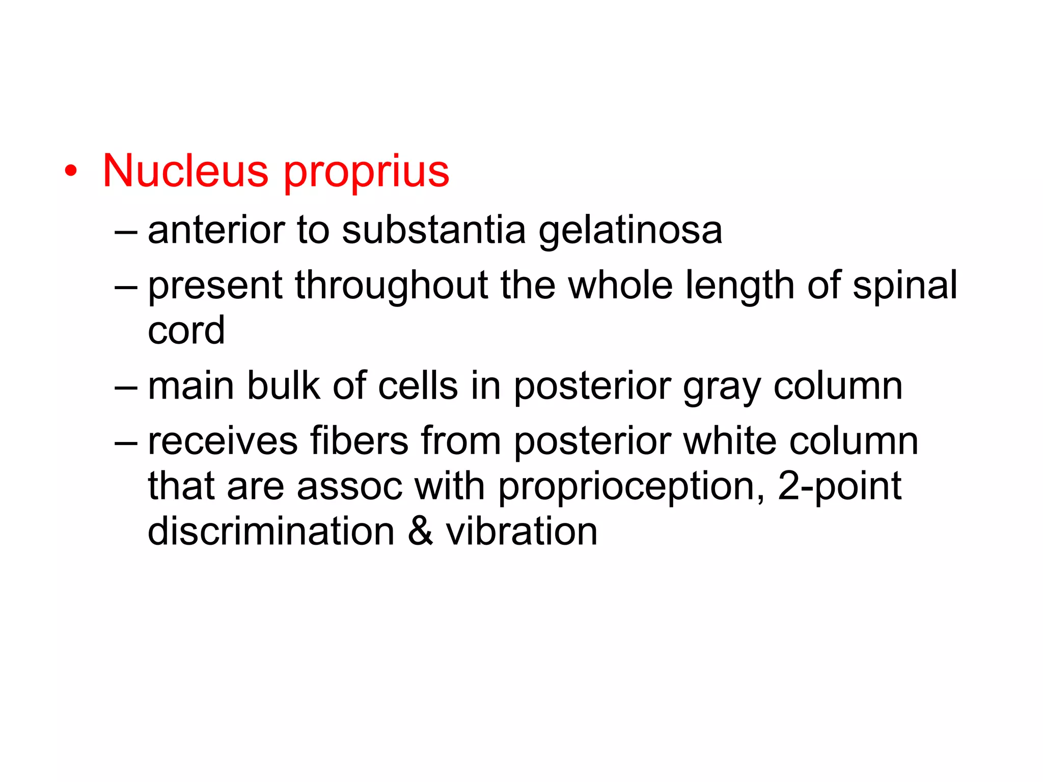 Nucleus proprius anterior to substantia gelatinosa present throughout the whole length of spinal cord main bulk of cells in posterior gray column receives fibers from posterior white column that are assoc with proprioception, 2-point discrimination & vibration 