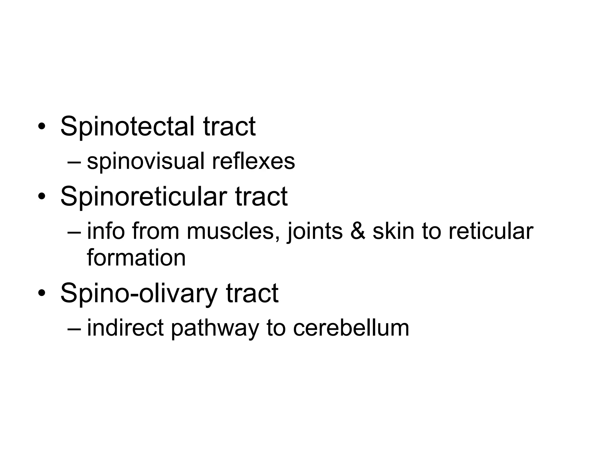 Spinotectal tract spinovisual reflexes Spinoreticular tract info from muscles, joints & skin to reticular formation Spino-olivary tract indirect pathway to cerebellum 