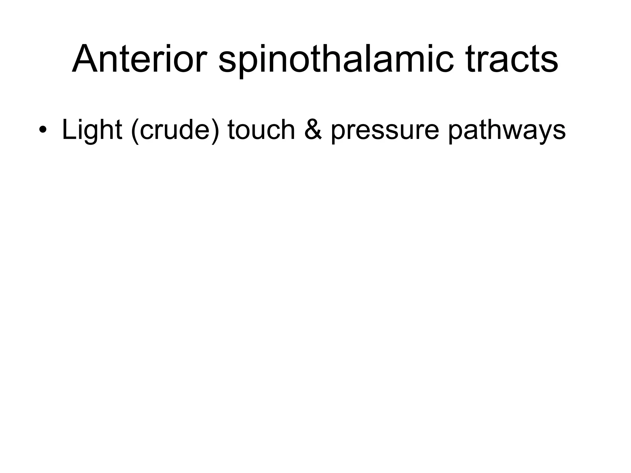 Anterior spinothalamic tracts Light (crude) touch & pressure pathways 