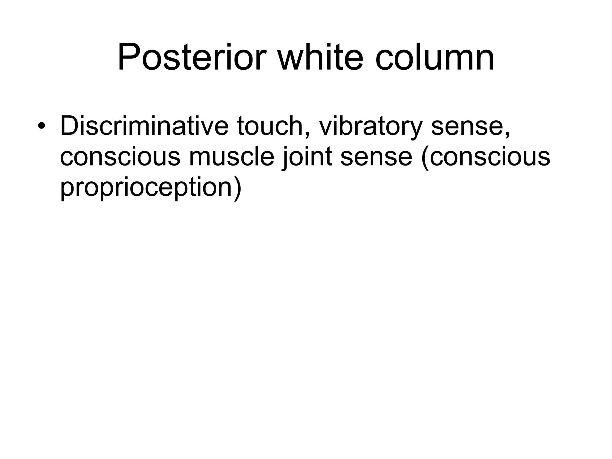 Posterior white column Discriminative touch, vibratory sense, conscious muscle joint sense (conscious proprioception) 