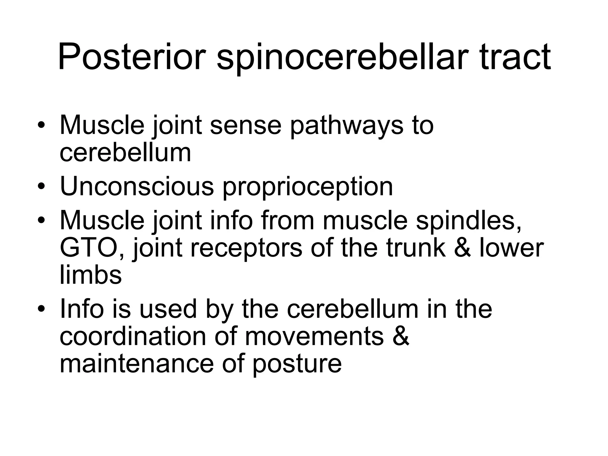 Posterior spinocerebellar tract Muscle joint sense pathways to cerebellum Unconscious proprioception Muscle joint info from muscle spindles, GTO, joint receptors of the trunk & lower limbs Info is used by the cerebellum in the coordination of movements & maintenance of posture 