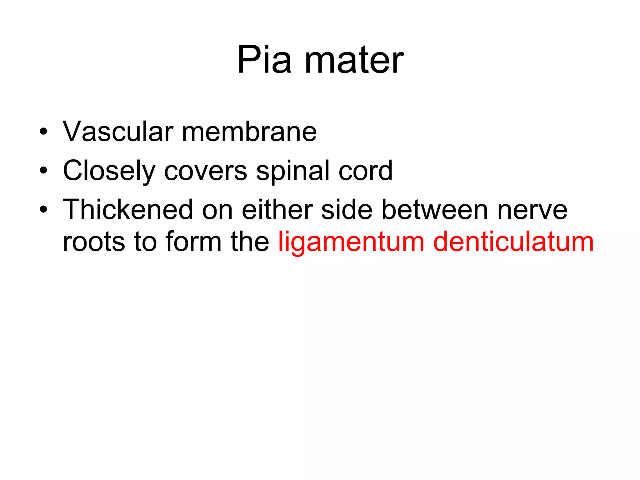 Pia mater Vascular membrane Closely covers spinal cord Thickened on either side between nerve roots to form the  ligamentum denticulatum 