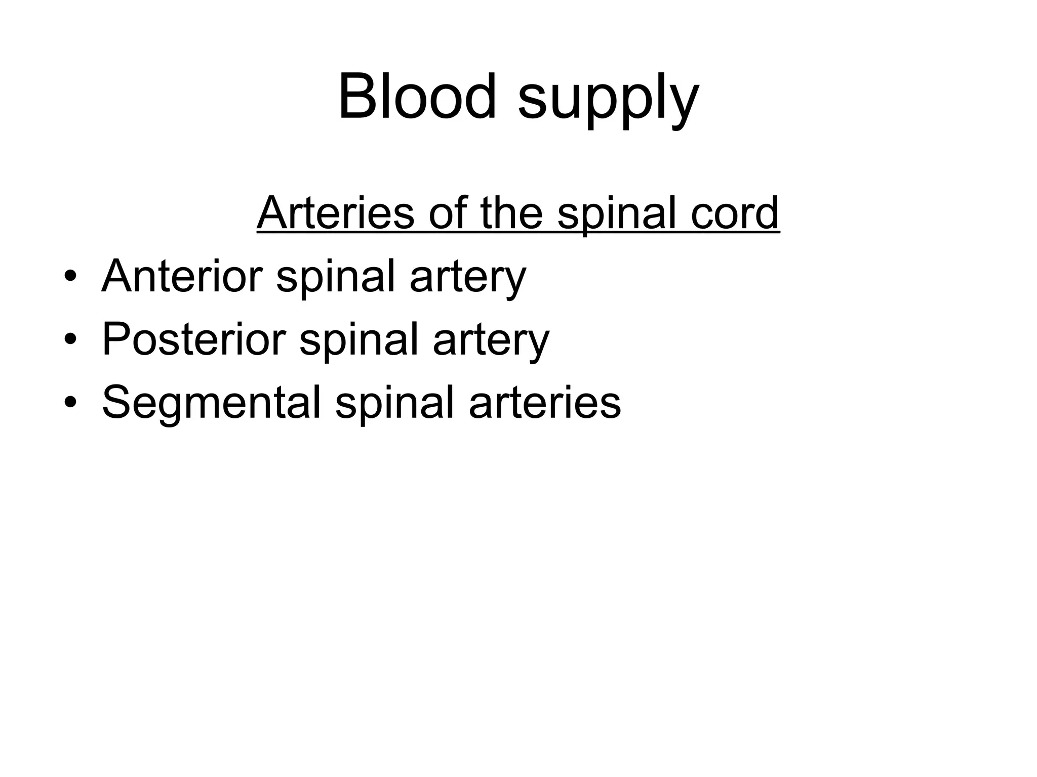Blood supply Arteries of the spinal cord Anterior spinal artery Posterior spinal artery Segmental spinal arteries 