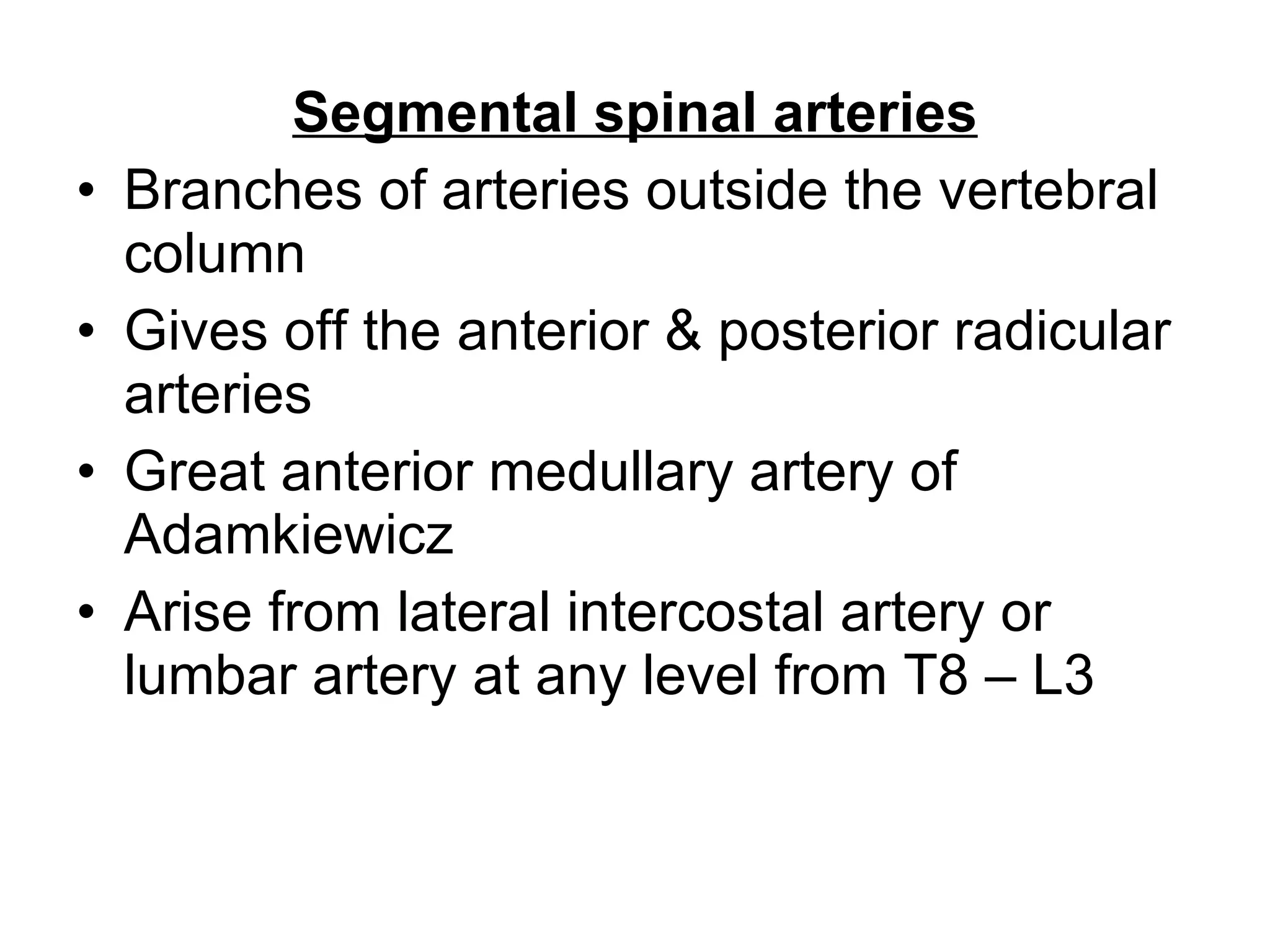 Segmental spinal arteries Branches of arteries outside the vertebral column Gives off the anterior & posterior radicular arteries Great anterior medullary artery of Adamkiewicz Arise from lateral intercostal artery or lumbar artery at any level from T8 – L3 