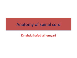 Anatomy of spinal cord
alhemyariDr-abdulhafed
 