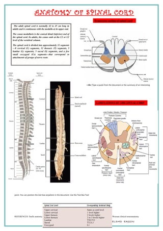 ANATOMY OF SPINAL CORD
ood is supplied to the [Type a quote from the document or the summary of an interesting
point. You can position the text box anywhere in the document. Use the Text Box Tool
REFERENCES: Snells anatomy; Dejong’s neurologic examination, Hendelman atlas of functional neuroanatomy; Waxnan clinical neuroanatomy
Dr YELDHO EASON
Transverse section of spinal cord
The adult spinal cord is normally 42 to 45 cm long in
adults and is continuous with the medulla at its upper end.
The conus medullaris is the conical distal (inferior) end of
the spinal cord. In adults, the conus ends at the L1 or L2
level of the vertebral column.
The spinal cord is divided into approximately 31 segments
—8 cervical (C) segments, 12 thoracic (T) segments, 5
lumbar (L) segments, 5 sacral (S) segments, and a few
small coccygeal (Co) segments—that correspond to
attachments of groups of nerve roots
LAMINATIONS OF THE SPINAL CORD
 