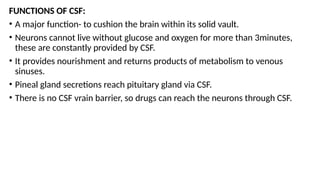 Cs Brain Function ANATOMY OF SPINAL CORD AND VERTEBRAL COLUMN.pptx
