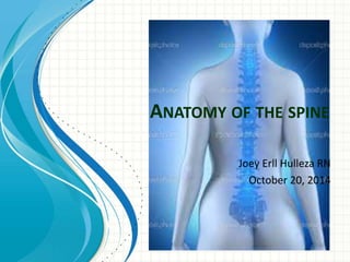 ANATOMY OF THE SPINE 
Joey Erll Hulleza RN 
October 20, 2014 
 