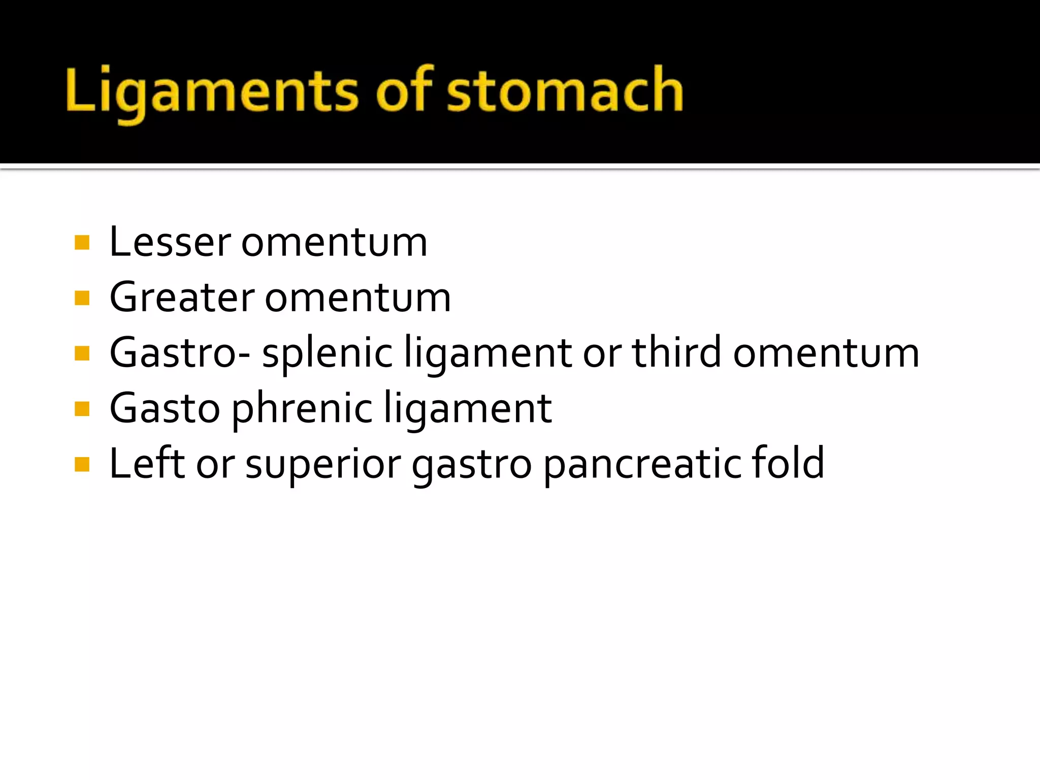  Lesser omentum
Greater omentum
Gastro- splenic ligament or third omentum
Gasto phrenic ligament
Left or superior gastro pancreatic fold