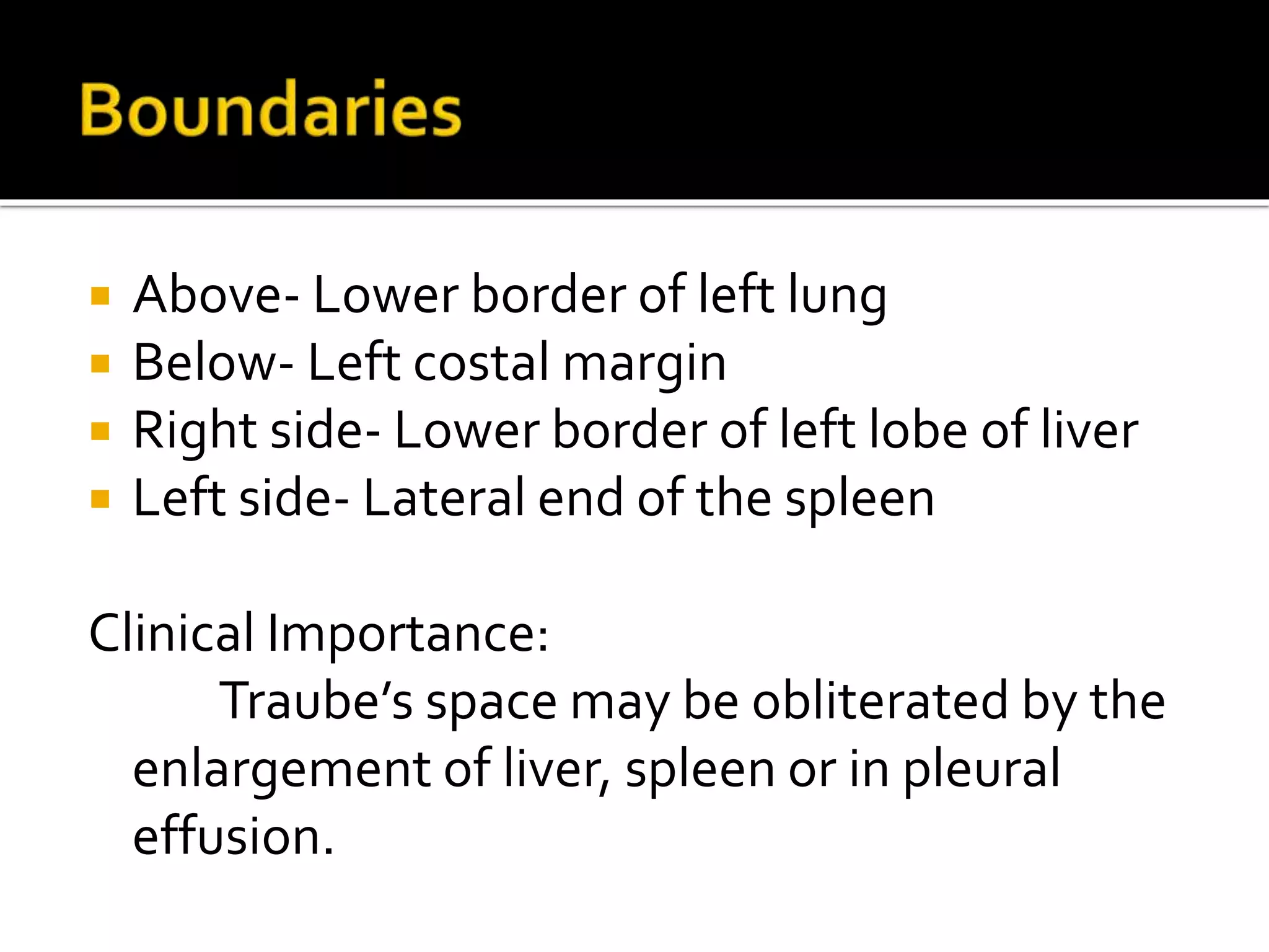  Above- Lower border of left lung
Below- Left costal margin
Right side- Lower border of left lobe of liver
Left side- Lateral end of the spleen
Clinical Importance:
Traube’s space may be obliterated by the
enlargement of liver, spleen or in pleural
effusion.