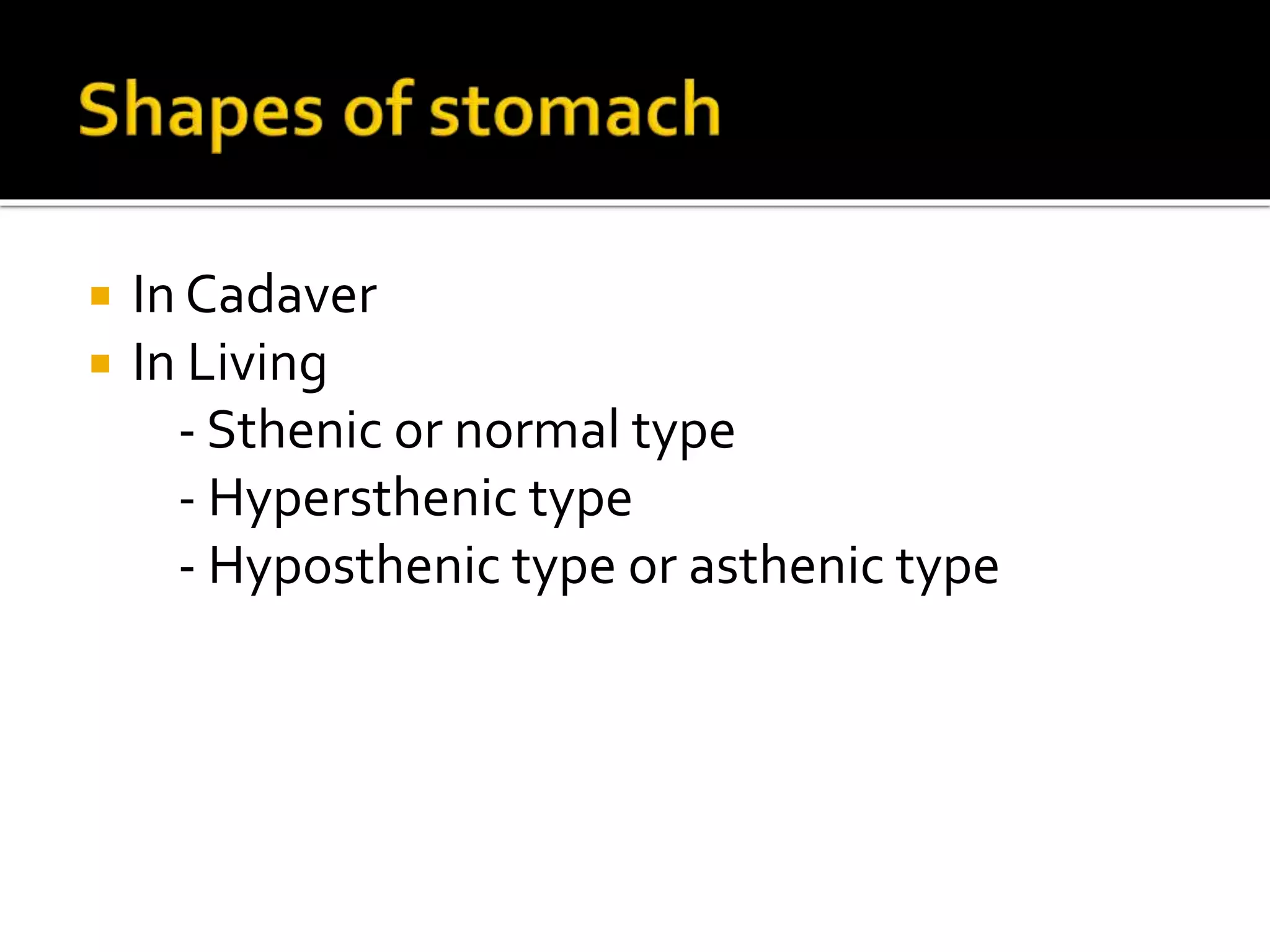  In Cadaver
In Living
- Sthenic or normal type
- Hypersthenic type
- Hyposthenic type or asthenic type