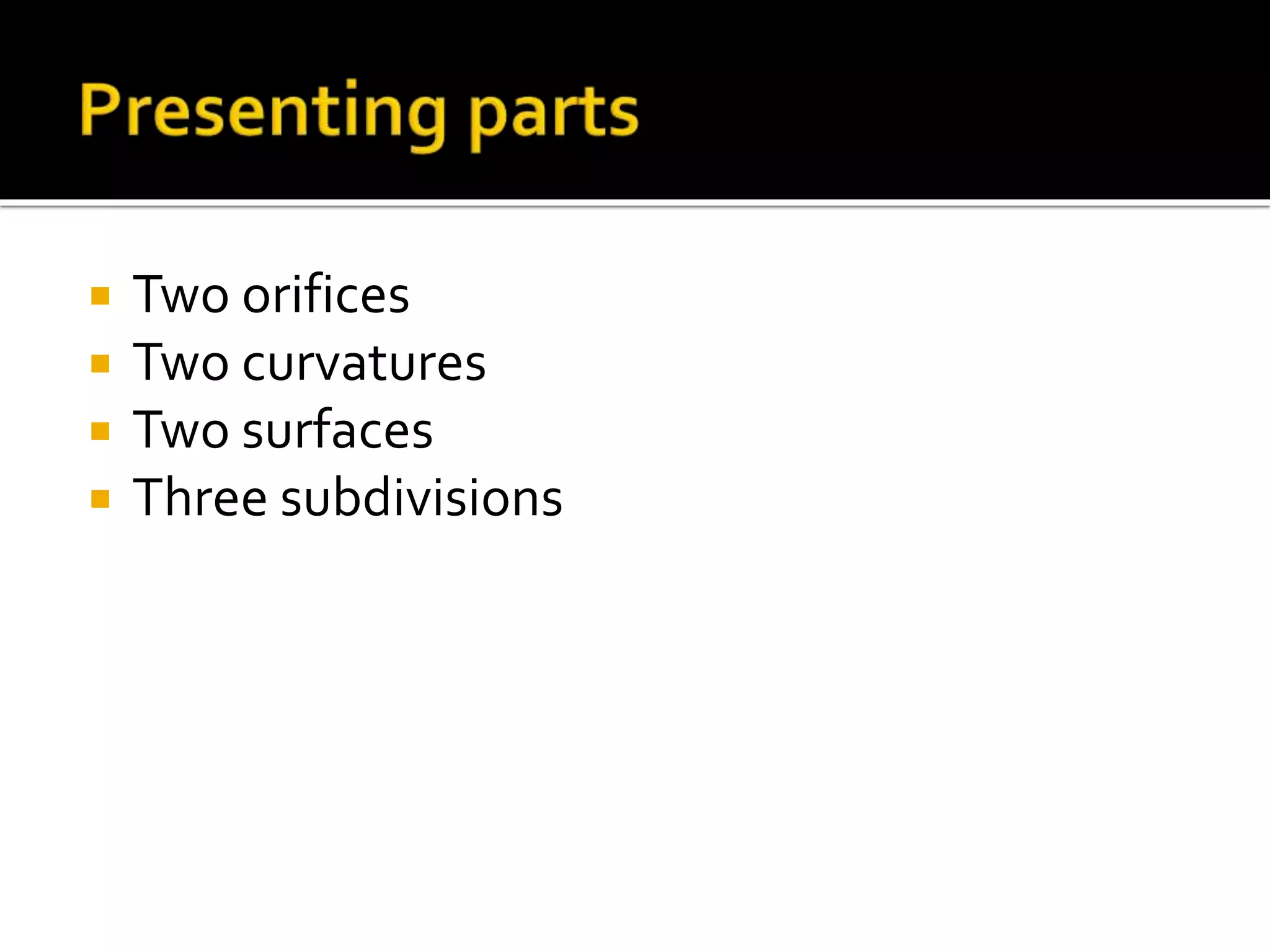  Two orifices
Two curvatures
Two surfaces
Three subdivisions