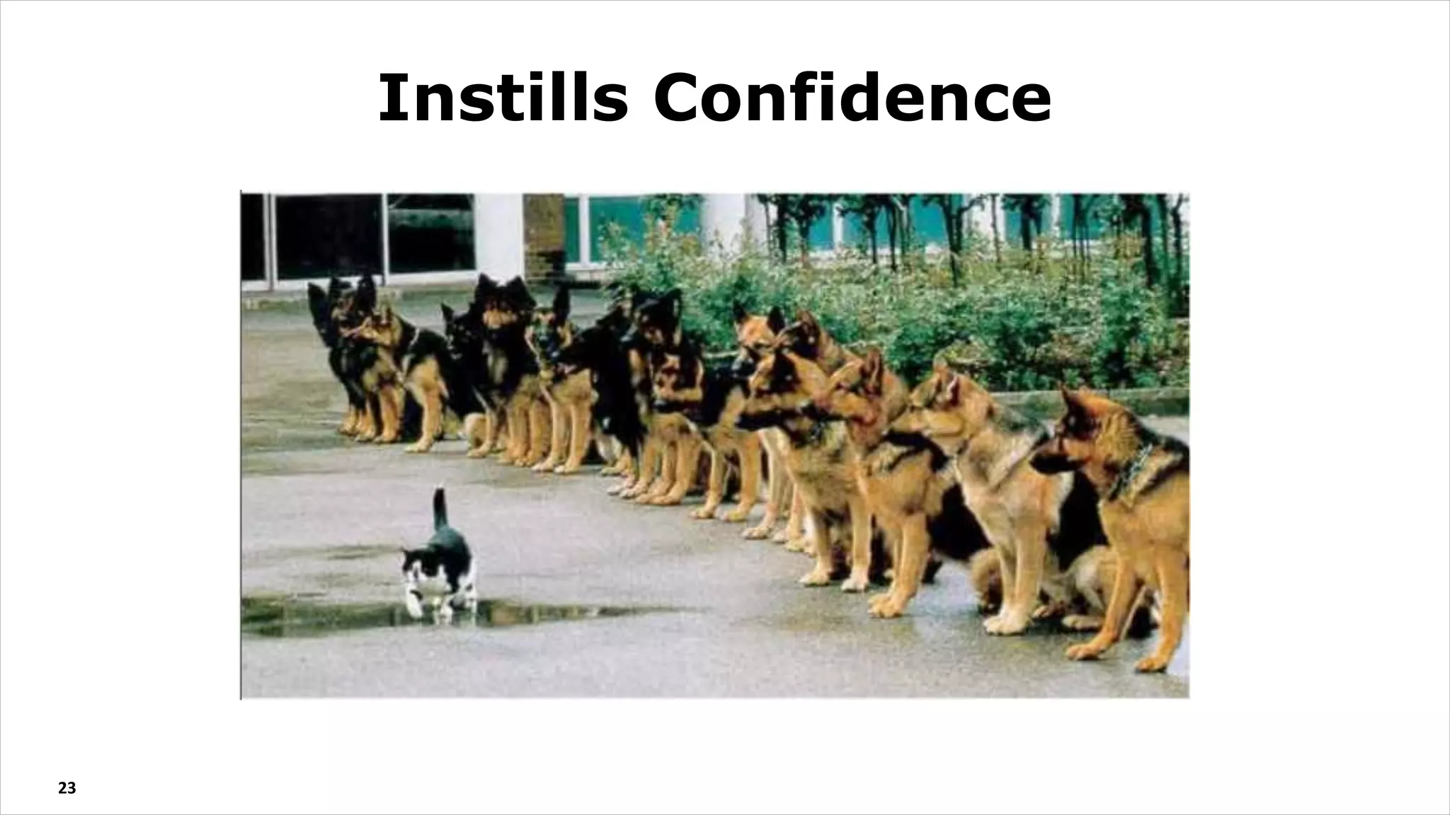 23
Instills Confidence
 