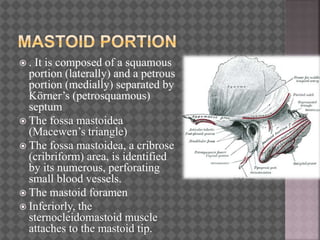 Anatomy of temporal bone and skull base | PPTX