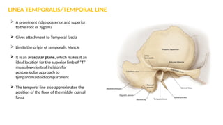 ANATOMY OF TEMPORAL BONE AND CLINICAL IMPORTANCE.pptx