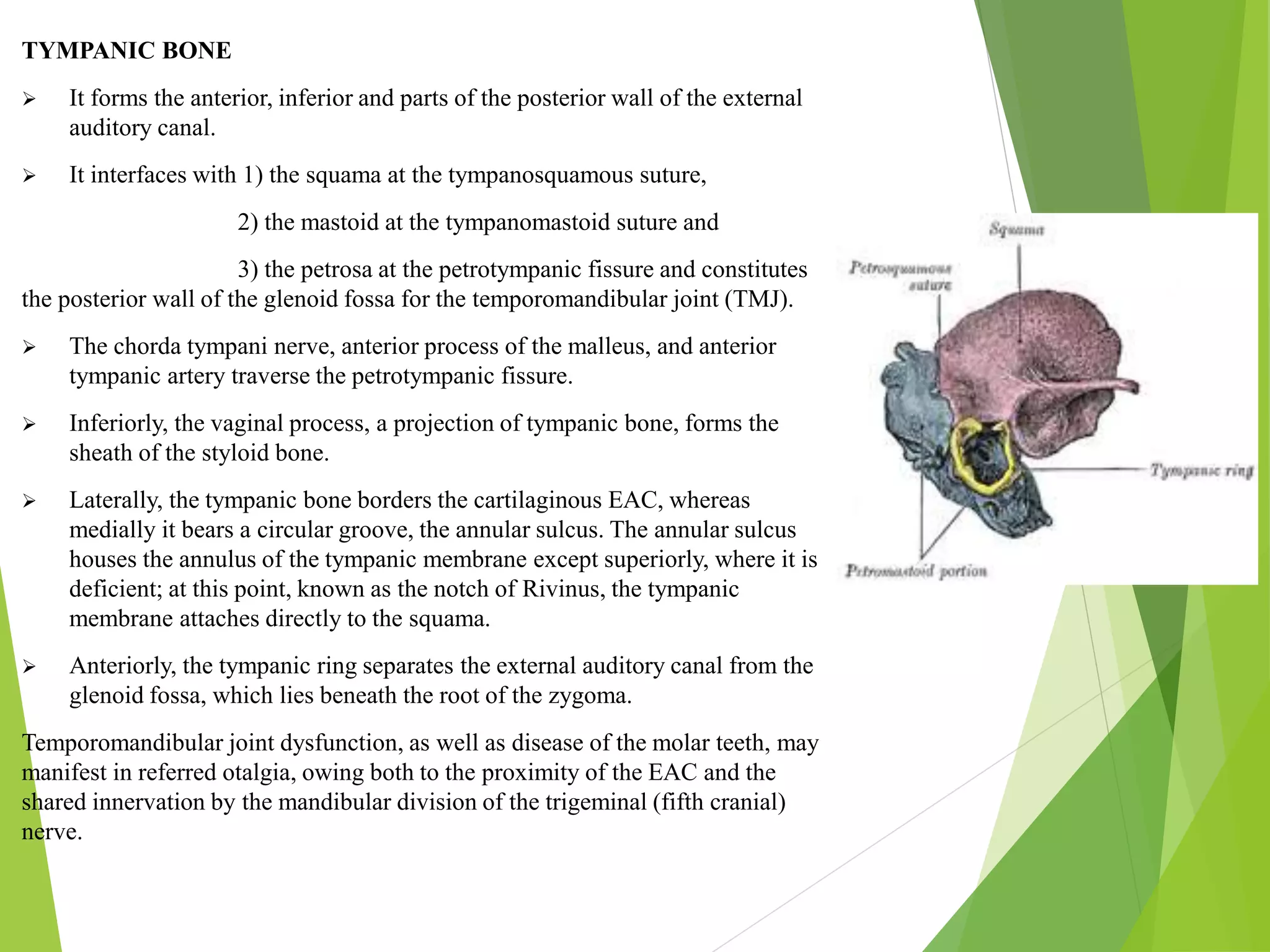 Anatomy of temporal bone and it’s surgical importance | PPTX