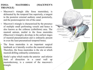 Anatomy of temporal bone and it’s surgical importance | PPTX