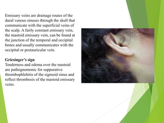 Anatomy of temporal bone and it’s surgical importance | PPTX
