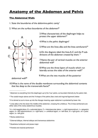 Anatomy of the Abdomen and Pelvis
The Abdominal Walls
1. State the boundaries of the abdomino-pelvic cavity1
2. What are the surface boundaries of the abdomen?2
3.What characteristic of the diaphragm helps to
protect the upper abdomen?3
4.What is the pelvic diaphragm?
5.What are the linea alba and the linea semilunaris?4
6.On the diagram, label the lines A-C and the 9 sub-
divisions of the abdomen created by them. 5
7.Name the pair of vertical muscles on the anterior
abdominal wall6
8.What are the three layers of muscle which run
laterally across the sides of the anterior wall?7
9.What are the two muscles of the posterior
abdominal wall?8
10.What is the name of the double membrane surrounding the abdominal contents
that lies deep to the transversalis fascia?9
1 Abdomen is everything from the diaphragm up to the ʻtrueʼ pelvis, so bounded inferiorly by the pelvic inlet.
2 The costal margin above and the V-shape of the pelvis (iliac crest and inguinal ligament) below
3 It is domed so as to move up into the ribcage meaning upper abdomen is protected by lower ribs
4 Linea alba is the line down the middle of the abdomen, crossing the umbilicus. The 2 linea semilunaris are
either side of the rectus abdominus muscles.
5 A = mid saggital plane, B = subcostal plane, C = Intertubercular plane, i = right hypocondrium, ii = epigastric
region, iii = left hypochondrium, iv = right ﬂank, v = umbilical region, vi = left ﬂank, vii = right groin, viii = pubic
region, ix = left groin
6 Rectus abdominus
7 External oblique, internal oblique and transversus abdominis
8 Quadratus lumboram and psoas major
9 Parietal and visceral peritoneum
 