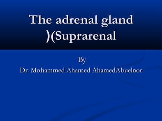 The adrenal glandThe adrenal gland
(Suprarenal(Suprarenal((
ByBy
Dr. Mohammed Ahamed AhamedAbuelnorDr. Mohammed Ahamed AhamedAbuelnor
 