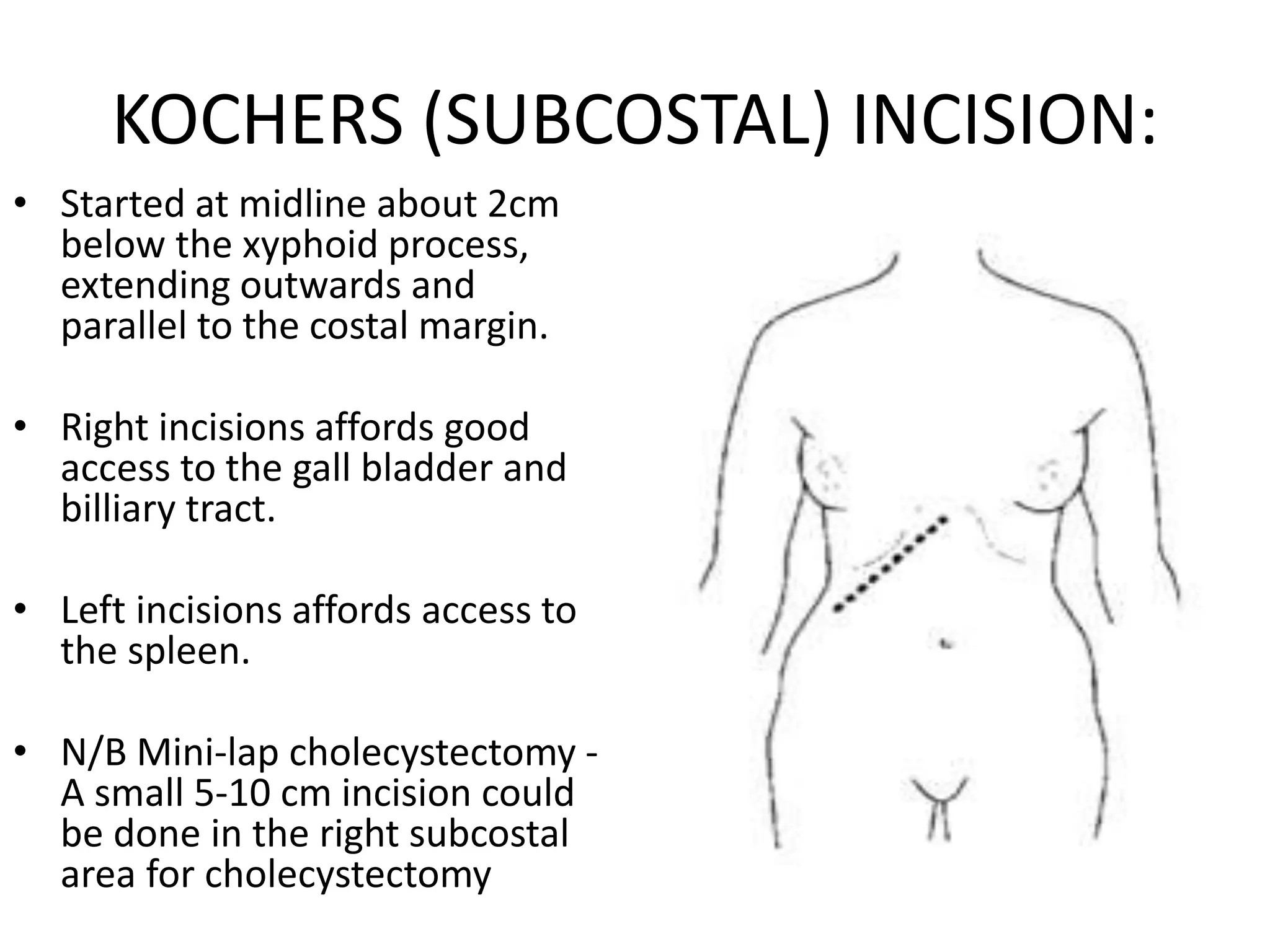 anatomy-of-the-anterior-abdominal-wall-and-incisions-pptx