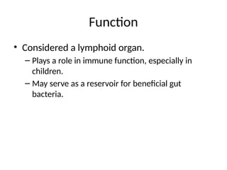Anatomy_of_the_Appendix_Presentation.pptx