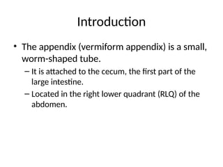 Anatomy_of_the_Appendix_Presentation.pptx