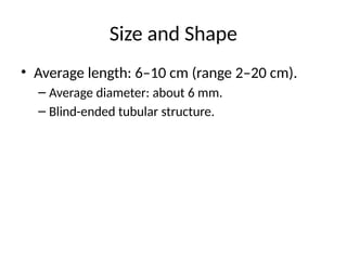 Anatomy_of_the_Appendix_Presentation.pptx