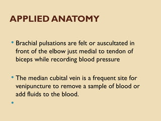 GROSS_ANATOMY_OF_THE_HUMAN_ARM[1] (2).pptx