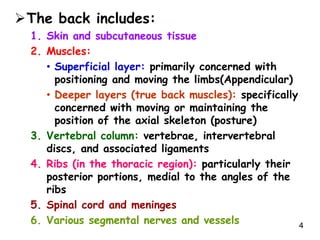 Anatomy of the Back.ppt