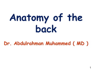 Anatomy of the
back
Dr. Abdulrahman Muhammed ( MD )
1
 