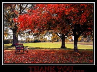 anatomy of the bladder.ppt