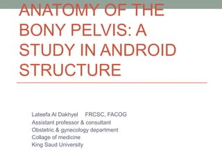 ANATOMY OF THE
BONY PELVIS: A
STUDY IN ANDROID
STRUCTURE
Lateefa Al Dakhyel FRCSC, FACOG
Assistant professor & consultant
Obstetric & gynecology department
Collage of medicine
King Saud University
 