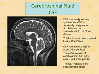 Midbrain Csf Anatomy of the brain | PPT