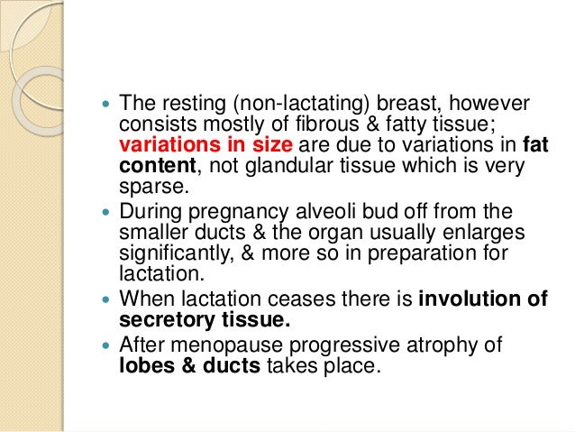 anatomy of the breast The breast generally refers to the front of the chest and medically specifically to the mammary gland (the word mammary comes from mamma, the greek and latin word for the breast, which derives from the cry mama uttered by infants and young children, sometimes meaning i want to feed at the . anatomy of the breast The breast generally refers to the front of the chest and medically specifically to the mammary gland (the word mammary comes from mamma, the greek and latin word for the breast, which derives from the cry mama uttered by infants and young children, sometimes meaning i want to feed at the .