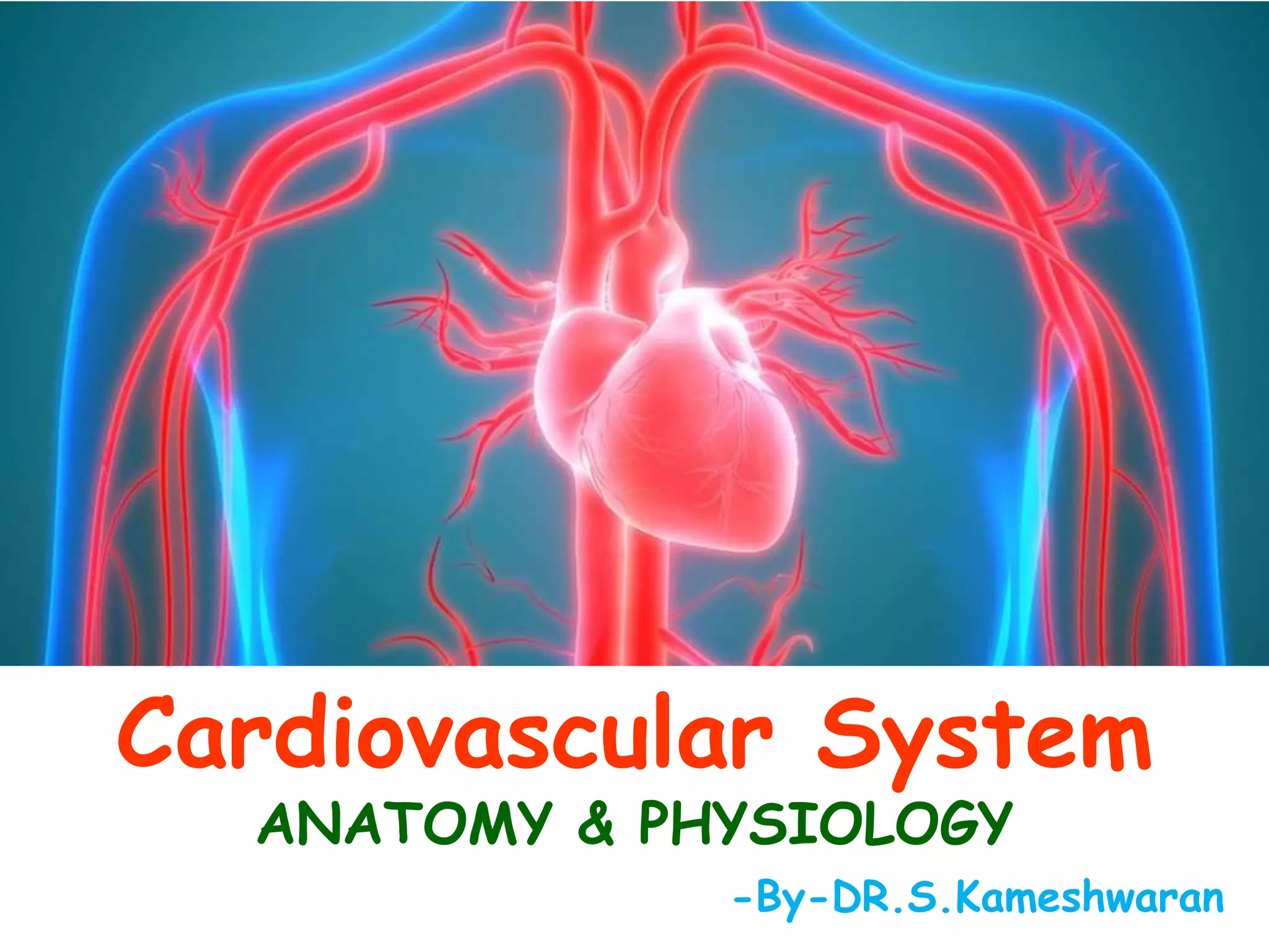 Cardiovascular System Anatomy Physiology Ppt Heart And Cardiovascular System Anatomy Physiology Ppt Heart And