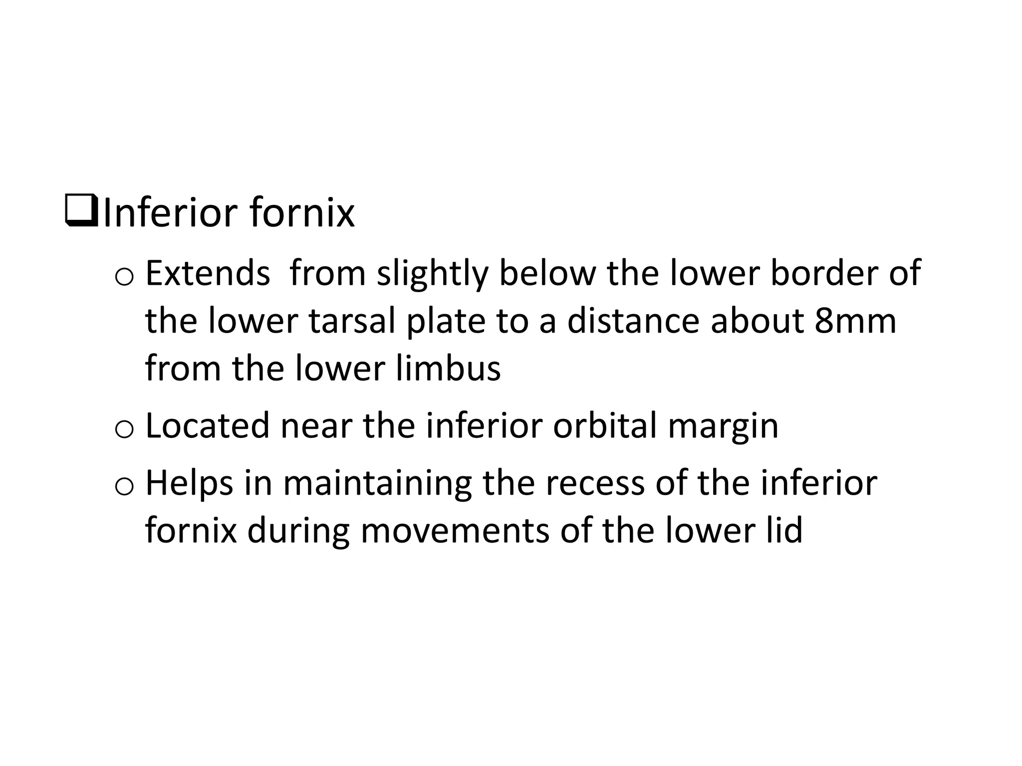 Inferior fornix
o Extends from slightly below the lower border of
the lower tarsal plate to a distance about 8mm
from the lower limbus
o Located near the inferior orbital margin
o Helps in maintaining the recess of the inferior
fornix during movements of the lower lid
 