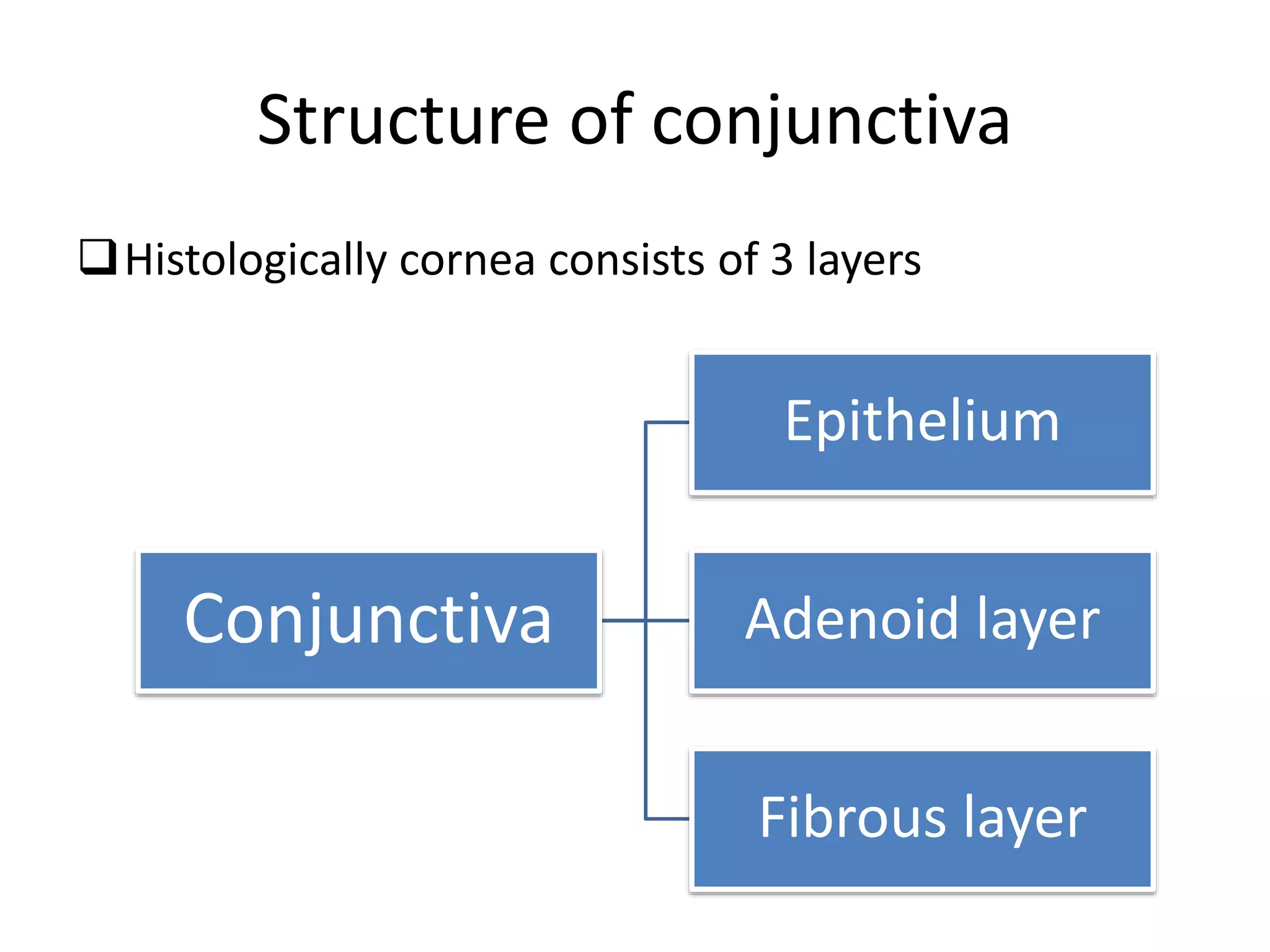 Structure of conjunctiva
Histologically cornea consists of 3 layers
Conjunctiva
Epithelium
Adenoid layer
Fibrous layer
 