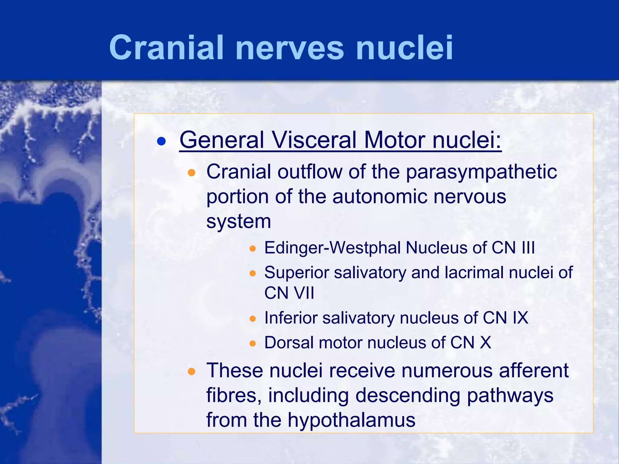 Anatomy of the cranial nerves | PPTX