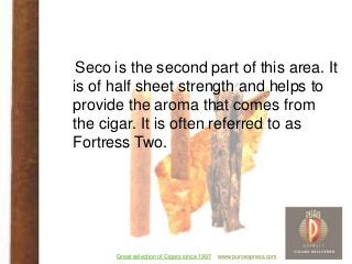 www.puroexpress.comGreat selection of Cigars since 1997Great selection of Cigars since 1997 www.puroexpress.com
Seco is th...