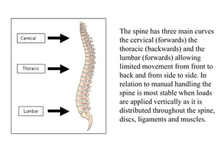 The spine has three main curves
the cervical (forwards) the
thoracic (backwards) and the
lumbar (forwards) allowing
limited movement from front to
back and from side to side. In
relation to manual handling the
spine is most stable when loads
are applied vertically as it is
distributed throughout the spine,
discs, ligaments and muscles.
 