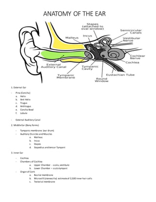 ANATOMY OF THE EAR
1. External Ear
- Pina (Concha)
a. Helix
b. Anti Helix
c. Tragus
d. Antitragus
e. Concha Bowl
f. Lobule
- External Auditory Canal
2. MiddleEar (Bony forms)
- Tympanic membrane (ear drum)
- Auditory Ossicles and Muscles
a. Malleus
b. Incus
c. Stapes
d. Stapedius and tensor Tympani
3. Inner Ear
- Cochlea
- Chambers of Cochlea
a. Upper Chamber - scala,vestibule
b. Lower Chamber – scalatympani
- Organ of Corti
a. Basilar membrane
b. Microvilli (stereocilia) estimateof 3,500 inner hair cells
c. Tectorial membrane
 
