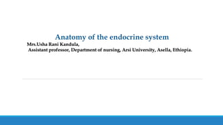 Major hormone-secreting glands of the endocrine
system.
 