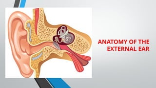 External Ear Rotation ANATOMY OF THE EXTERNAL EAR.pptx . | PPTX